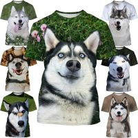 Newest 3D Printing Men Women T-Shirt Husky Dog T Shirts Funny Short Sleeve Casual T-shirt Interesting Animal Tees Tops