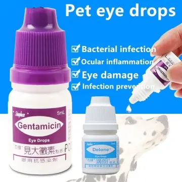 Gentamicin ear drops outlet for dogs