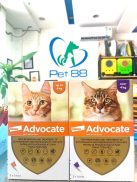 Nhỏ gáy Advocate cho mèo ngăn ngừa nội ngoại ký sinh trùng