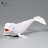 ฟิกเกอร์ขนาดเล็กรูปแอคชั่นโมเดลปลาวาฬสีฟ้า Beluga ของเล่นสำหรับเด็กของตกแต่งเพื่อการศึกษาขนาดเล็กสไตล์ใหม่