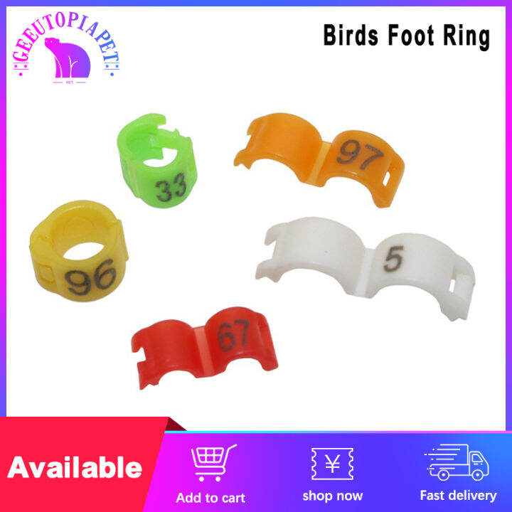 Love birds foot ring 4/5mm Birds Foot Ring for African Cockatails