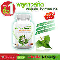 [ส่งฟรี! พร้อมส่ง] PK Plus Plu Kaow Extract (1 กระปุก 60 แคปซูล) พลูคาวสกัด  ภูมิคุ้มกัน ร่างกายสมดุล