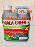 MALA-GREEN-F มาลากรีน F นอนก้นบ่อ แผลตามครีบ ลำตัว หาง เปิ่อย ซึม เกร็ดฟอง 1000cc