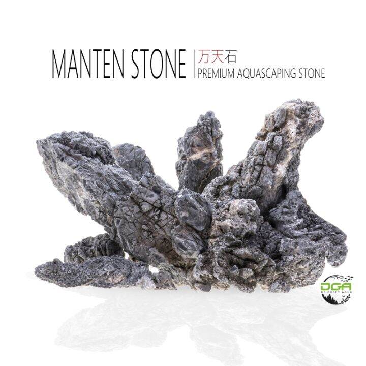 Aquascape JAPAN Premium Manten Stone(水草造景精选万天石） | Lazada