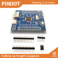 Foriot  บอร์ดพัฒนา CH32V103R8T6ดีมอร์สำหรับ RISC-V การสนับสนุนหลัก RT-Thread ออนบอร์ด