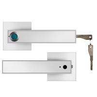 Fingerprint Door Lock Handle USB Rechargeable Anti Theft Smart Biometric Keyless Security Entry Electronic Lock with 2 Keys