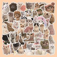 60PCS Kawaii Cat Stickers PVC Cartoon Cute Decals Toy Stationery Guitar Phone Aesthetic Decorations School Supplies For Children