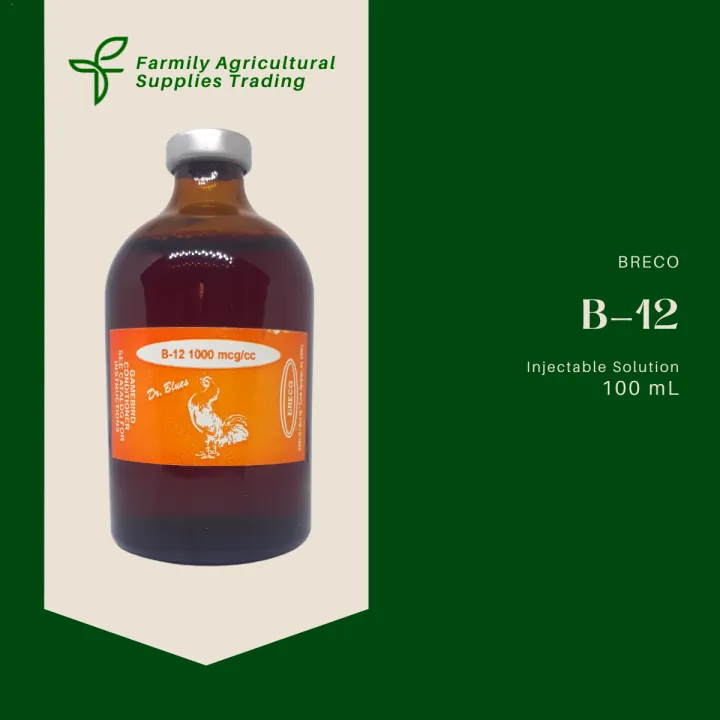 Dr. Blues B12 1000 mcg 100mL Lazada PH