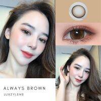 Always Brown /Gray คอนแทค​เลนส์​  Luxzy​lens​ มีสายตาสั้น 0.00 ถึง -10.00