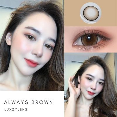 Always Brown /Gray คอนแทค​เลนส์​  Luxzy​lens​ มีสายตาสั้น 0.00 ถึง -10.00