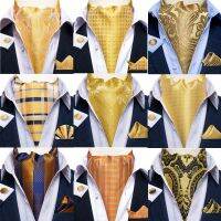 DiBanGu Jacquard Cravat 3pc Set Yellow Paisley Woven Ascot Tie Cufflinks Pocket Square Men 39;s Fashion Casual Scarves Accessories