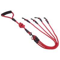 bjh♙☞✈  1/2/3/4 Dog Leash Detachable Multi-Head Supplies Double-Head Rope