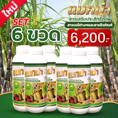 SV289 แมกม่า Maxma สารจับใบ สารเสริมประสิทธิภาพสูตรเข้มข้นพิเศษ ขนาด 1ลิตร6ขวดใช้ผสมได้มากถึง 10,000 ลิตร ยาจับใบ หรือจับใบพืช ชนิดทนการชะล้าง