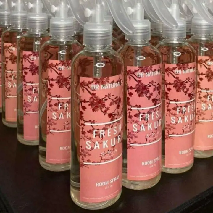 DR NATURALS ROOM SCENTS Lazada PH