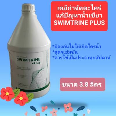 น้ำยากำจัดตะไคร่น้ำเขียว Swim Trine