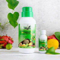 TRANSFORM PLUS 1  ธาตุอาหารรองและธาตุอาหารเสริมพืช ประกอบด้วยธาตุอาหารหลายชนิดที่มีประโยชน์ต่อพืช