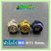 น็อตสแตนเลส หัวโกโร่ ขนาดเกลียว m6 ยาว 8 mm.