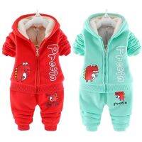 Thick Plush Warm Toddler Baby Boys Clothes Set Winter Cartoon Dinosaur Clothing Sets For Boys Hoodies Jacket And Pants Kids Suit