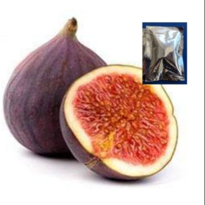 ( โปรโมชั่น++) คุ้มค่า เมล็ดมะเดื่อฝรั่ง - Turkey Fig Fruit ราคาสุดคุ้ม พรรณ ไม้ น้ำ พรรณ ไม้ ทุก ชนิด พรรณ ไม้ น้ำ สวยงาม พรรณ ไม้ มงคล
