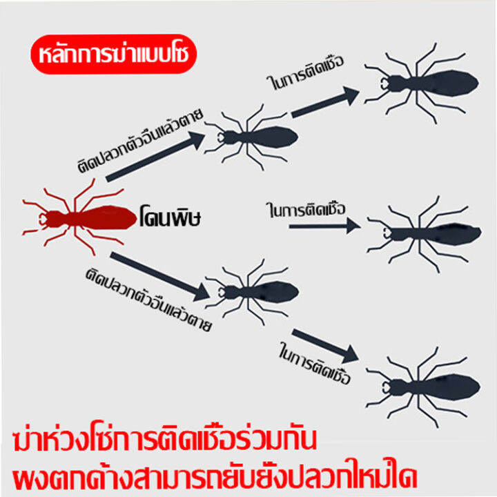 ได้ผล-100-lab-น้ำยากำจัดปลวก-เห็นผลเร็ว-ได้ผลทนนาน-กำจัดมดทุกชนิด-ใช้ได้ทั้งบ้าน-ยากำจัดปลวก-กำจัดปลวก-ยาฆ่ามด-ปลวก-กำจัดปลวก-ยกรัง-ยาฆ่าปลวก-กำจัดปลวก-บ้าน-กำจัดปลวก-ในดิน