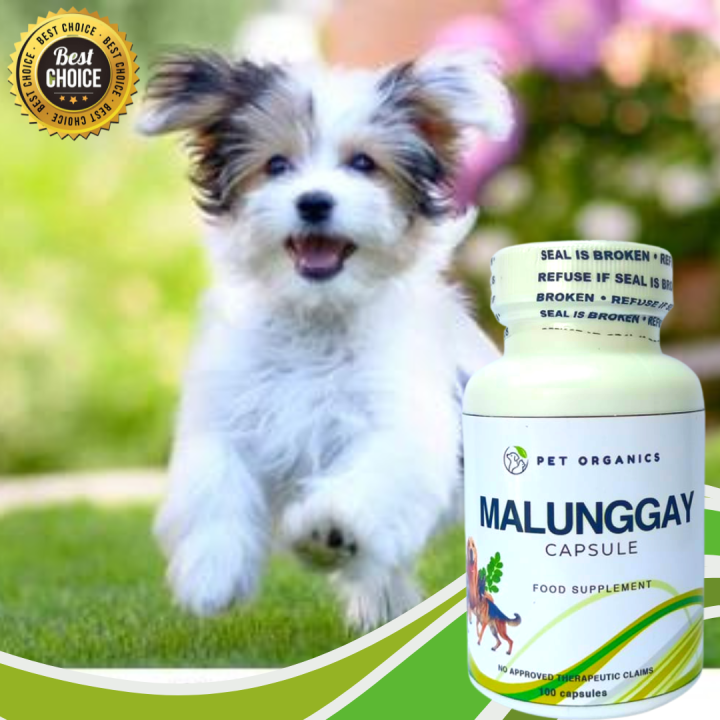 Malunggay Capsule for Pets Lactating Dam Fully Loaded with Minerals Nutrients Proteins and