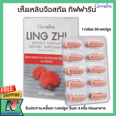 ส่งฟรี เห็ดหลินจือสกัด ชนิดแคปซูล กิฟฟารีน เห็ดหลินจือแดง Giffarine Ling Zhi Extract Capsule