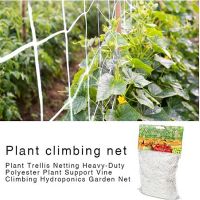 ❈ Garden White Trellis Netting Support Bean Plant Nets Mesh Vegetables Flowers