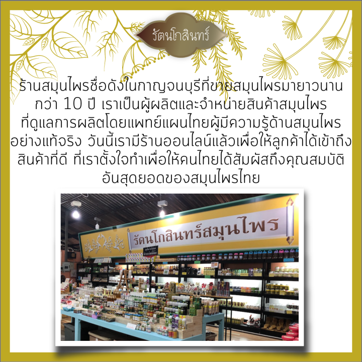 แพ็คส่งทันทีใน-1-วัน-ถั่งเช่าสีทอง-chinese-ginseng-ถั่งเช่าแท้ๆ-นำเข้าจากประเทศจีน-100-น้ำหนัก-20-กรัม-ทานทุกวันได้-1-เดือน