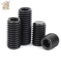 20/ 10/ 5/ 2pcs M1.6 M2 M2.5 M3 M4 M5 M6 M8 Grade 12.9 Carbon Steel Alloy Steel Hex Socket Set Screws Grub Screw DIN916 Screw Nut Drivers