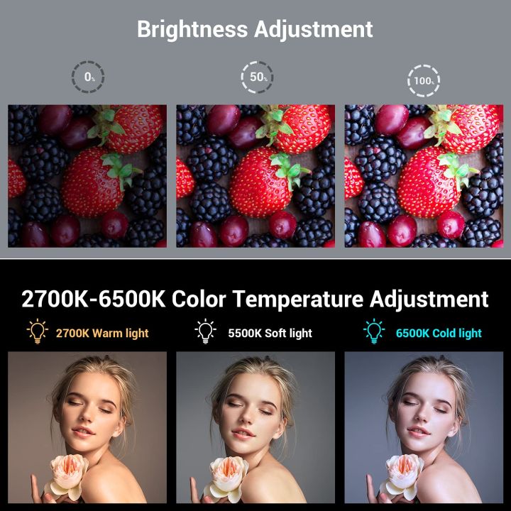 smallrig-ไฟวิดีโอ-led-แบบชาร์จไฟได้บนกล้อง-mini-vlog-circle-light-2200mah-2700-6500k-ไฟถ่ายภาพเติมแสงสำหรับ-vlog-กล้อง-mirrorless-dslr-3286-สีเทา-3287-สีขาว