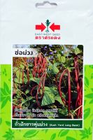 ถั่วฝักยาวพุ่มม่วง ช่อม่วง ถั่วพุ่มไร้ค้าง  EAST-WEST SEED เมล็ดพันธุ์ตราศรแดง