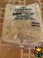 GRADE A - Raw White sesame // 500G.