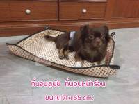 ที่นอนสุนัข เบาะสุนัข ที่นอนน้องหมา น้องแมว ผ้าปูรองกรง ที่นอนหน้าร้อน Pet bed ขนาด 55x71ซม. size M (คละลาย)