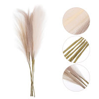 VORCOOL 6 ชิ้นประดิษฐ์ Pampas หญ้าพืช Fluffy Pampas Grass ขนาดเล็ก Fake Reed Bouquet Reed Grass Decor