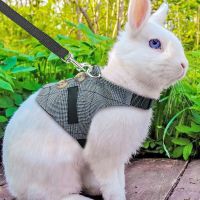 Hamster Rabbit Dog Harness Vest Small Animals Hamster Accessories Pet Puppy Harness Leash Lead Set For Ferret Guinea Pig Kitten Leashes