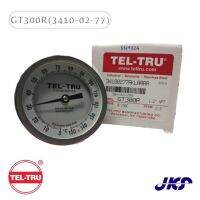 Teltru รุ่น GT300R 3410-02-77 Bimetal Thermometer