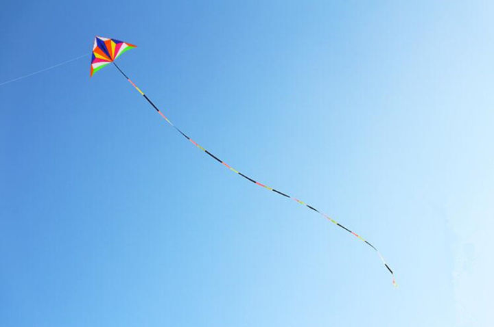 operacwotsfree-shipping-delta-kite-flying-outdoor-toys-children-kites-ripstop-nylon-fabric-parachute-kites