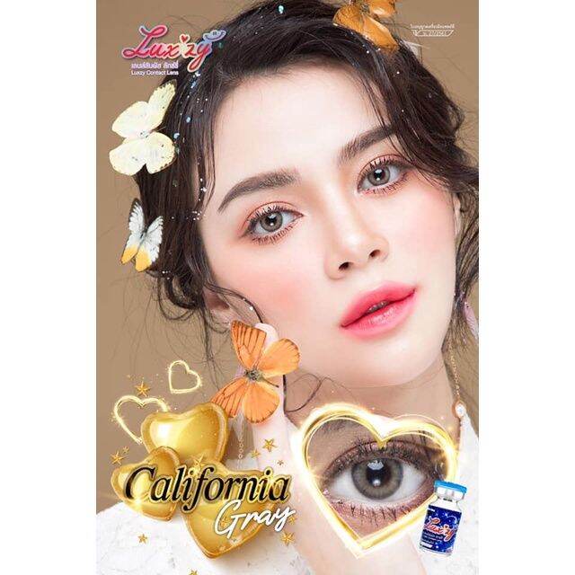 คอนแทคเลนส์-ขนาดมินิ-brown-gray-california-luxzylens