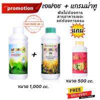 ของแท้!! แถมฟรี ซีโฟ 500cc. ซื้อ เอฟอช + แกรมม่าทู (ขนาด1,000 cc.)เพิ่มประสิทธิภาพการเจริญเติบโต เพิ่มผลผลิต สารอาหารครบ