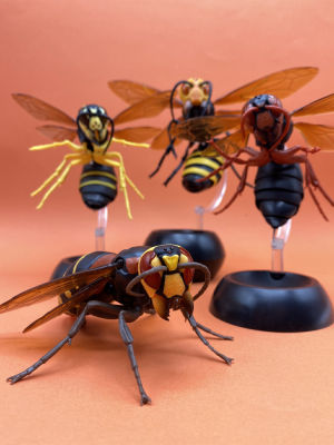 Pre-Sell Bandai ญี่ปุ่น Gashapon ไข่แผนที่ชีวภาพขนาดใหญ่ของแตนราชินีผึ้งคนงาน (ผึ้ง) ชีววิทยาที่สามารถเคลื่อนย้ายร่วมรุ่น Gacha ของเล่น