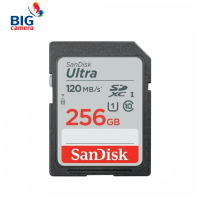 SanDisk Ultra SDXC SDSDUNC4 256GB 120MB/s R C10 (SDSDUN4-256G-GN6IN)