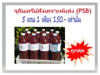 จุลินทรีย์สังเคราะห์แสง PSB บำรุงต้นรากใบ แตกดอกออกผล ปรับปรุงบำรุงดิน แพ็ค 5 ขวด แถมฟรี 1 ขวด ราคาพิเศษ 150 บาท เท่านั้น