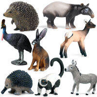 จำลองสัตว์ป่า malayan tapir Hedgehog Waterbuck Cassowary ruffeary Reindeer Action figures สัตว์ปีกกระต่าย Donkey ของเล่น