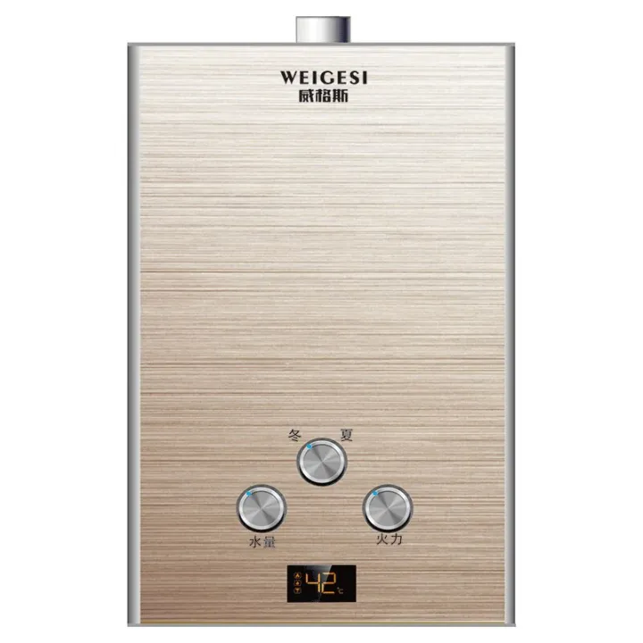 Home 6L 8L Flue Gas Water Heater Strong Emission Type Speed Low Water