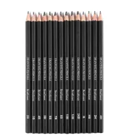 Drawing Pencil Professional Set Sketch Coloring Pens Art Set B14 B10 B8 B7 B6 B5 B4 B3 B2 B HB 4H 2H for Beginners