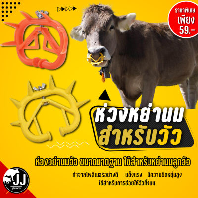 ห่วงหย่านมวัวขนาดไซส์มาตราฐานส่งตรงจากไทย