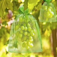 [ELEGANT] 50pcs Grape Protection Bags Strawberry Fruit Anti Bird Garden Pest Control Bags Mesh Lychee Cherry Bag Planter Growing Bags