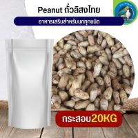 สุดยอด ถั่วลิสงไทย Thai PeaNut อาหารนก กระต่าย หนู กระต่าย กระรอก ชูก้า และสัตว์ฟันแทะ (กระสอบ 20KG)