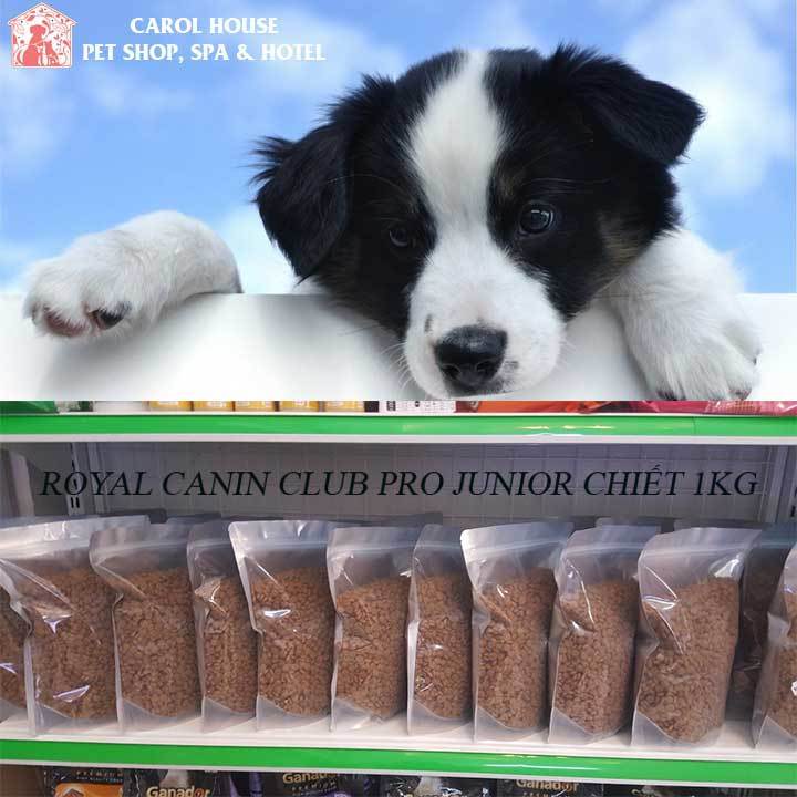 HCM]Thức Ăn Hạt Royal Canin Club Pro Junior A3 Túi Chiết 1Kg 
