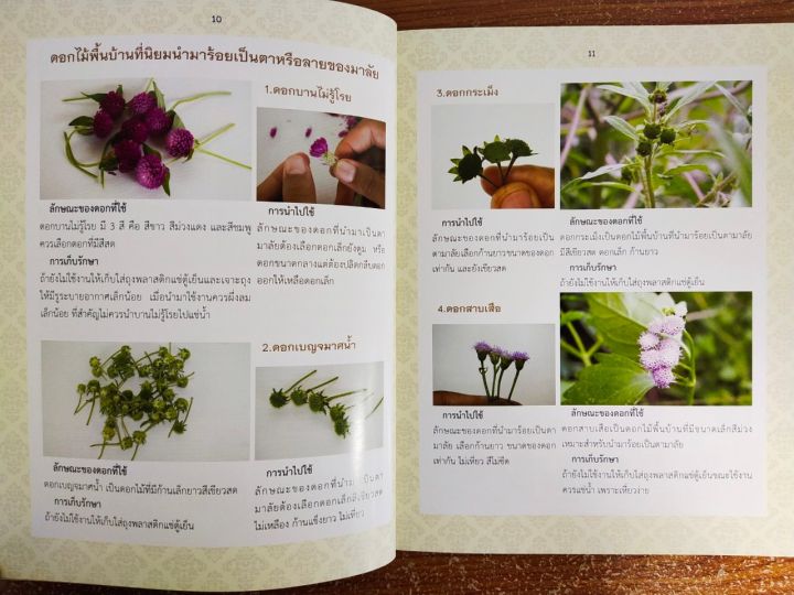 หนังสือสอนการร้อยพวงมาลัย-ชุด-มาลัยดอกไม้พื้นบ้าน
